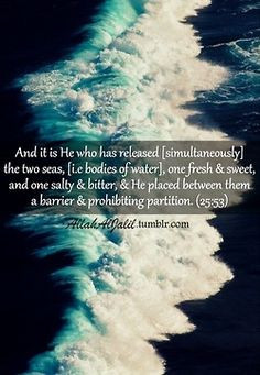 , amazing pictures, photos, images, quotes, one-liners about Islam ...