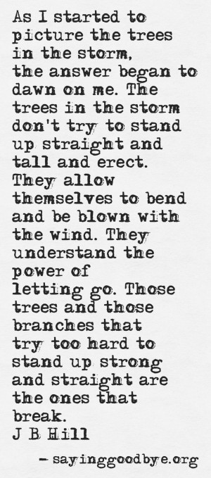 ... Quotes, Go With The Flow Quotes, Perfect Storm Quotes, Tree Of Life