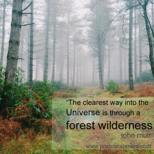 ... way into the Universe is through a forest wilderness.” John Muir