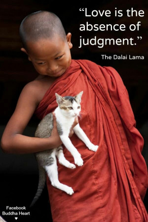 Love is the absence of judgement. ~The Dalai Lama
