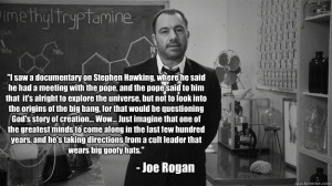 Joe Rogan Funny Quotes