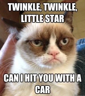 twinkle twinkle little star can i hit you with a car - mad cat