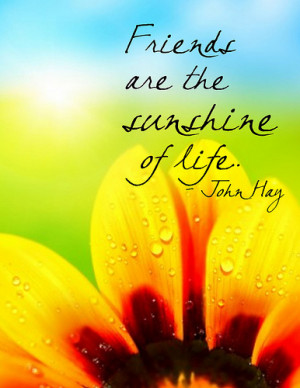 Poster>> Friends are the sunshine of life. John Hay #quote #taolife