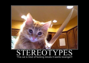 ... .net/images/2011/06/30/motivational-pics-stereotypes_130946055442.jpg