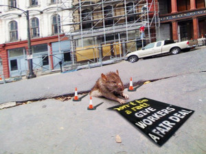 Rat Stuck in Sidewalk + some Photoshopping (33 pics)