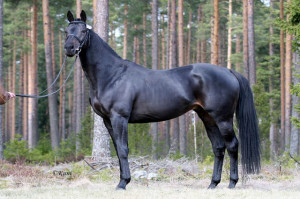 Last edited by ShannonD; Nov. 30, 2009 at 10:19 PM .