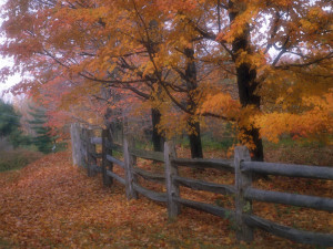 1600x1200 Country fence desktop PC and Mac wallpaper