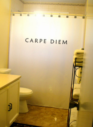 Carpe Diem Shower Curtain Quote Bathroom Decor Kids bath Seize The Day ...