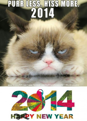 Grumpy cat happy new year
