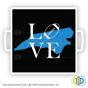 carolina panthers football team