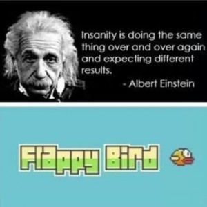 Albert Einstein on Flappy Bird ( i.imgur.com )