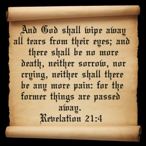 Posted by Shirley Walker No comments: