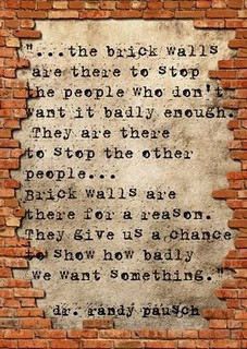 ... brick wall literally and figuratively this quote comes from randy