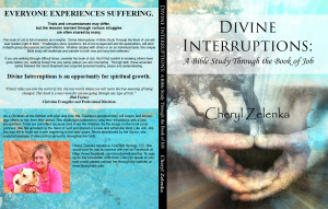Quote from DIVINE INTERRUPTIONS: A Bible Study Through The Book Of Job