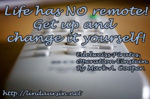 Life has no remote - Sassy Sayings - http://lindaursin.net