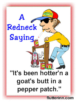 sayings and quotes redneck sayings and quotes ø good fences make good ...