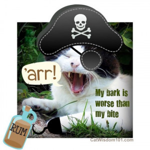 pirate talk dictionary page 2 pirate talk dictionary page 3 pirate ...