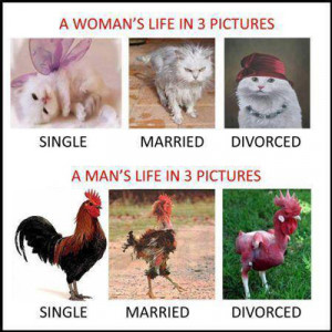 Images Funny Divorce