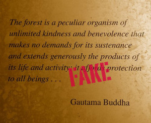 The forest is a peculiar organism of unlimited kindness and ...