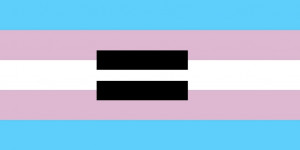 ... they are not equal marriage equality human marriage equality and race