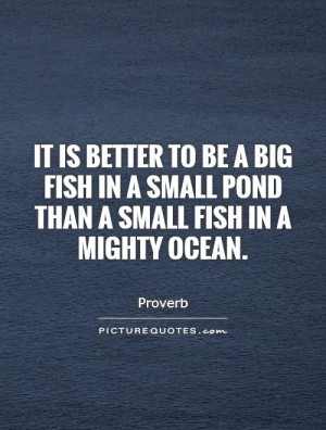... fish in a small pond than a small fish in a mighty ocean Picture Quote