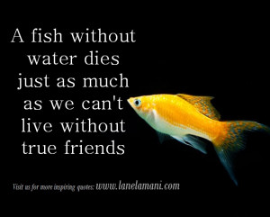 Friendship Quotes Archive
