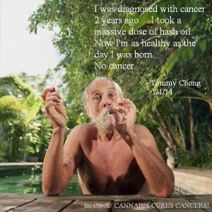 Tommy Chong is cancer free!