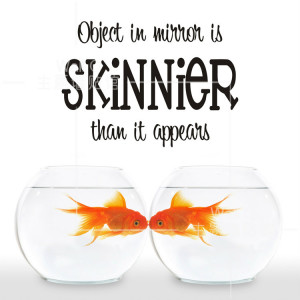 loss weight skinner quote sofa wall stickers quotes italy hot 71