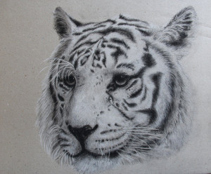 Tiger Draw Izapug Deviantart