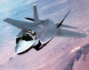 hold your own storage yellowed leaves on hanging geraniums