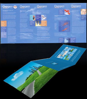 Multi-fold Brochure Design