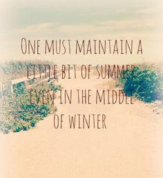 Summer quote More