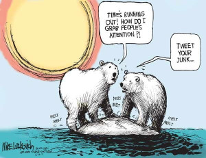 Polar bears worry about global warming