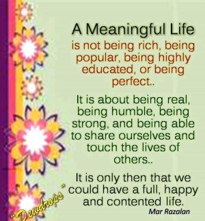 Meaningful Life Is