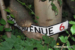 MOTHER NATURE - Funny Mother Nature Videos and Pictures - NatureFunny ...