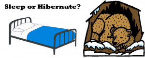Funny Quotes About Hibernation