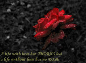 Life With Love Has Thorns But Life Without Love Has No Rose
