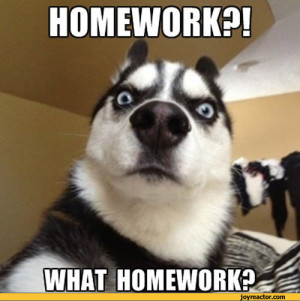 Homework / invisible bread :: homework :: lie :: dog :: comics (funny ...