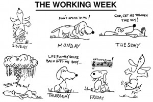 Working Like A Dog.....