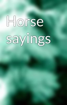 Horse sayings