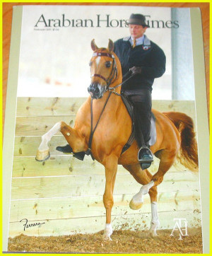Arabian Horse Times Quotes Pictures