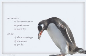 ... thoughts: Persevere In determination in gentleness in humility