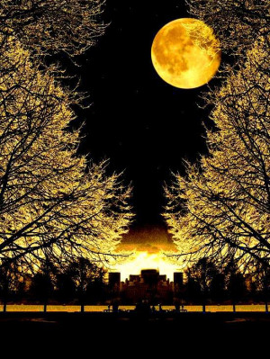 Beautiful Pictures Moonlight wallpaper
