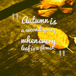 Quotes About Autumn Or Fall. QuotesGram