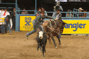 Calf Roping (Tie-Down Roping)