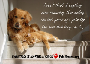 ... pet, animal, inspiring quotes for animal lovers, petsnmore.org, senior