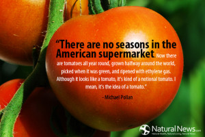... tomatoe. I mean, it's the idea of a tomato.” - Michael Pollan