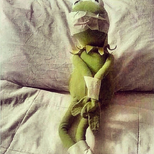 Back > Quotes For > Kermit Quotes None Of My Business