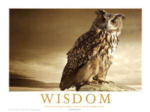 Wisdom The Wise Old Owl Art Print