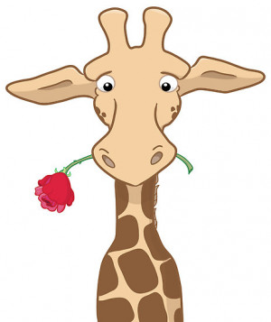 Funny Quotes Contact Dmca